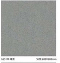 Sloar Stone 600x600mm_6551M 啞面