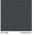 Sloar Stone 600x600mm_6561M 啞面