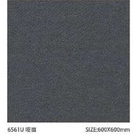 Sloar Stone 600x600mm_6561U 啞面