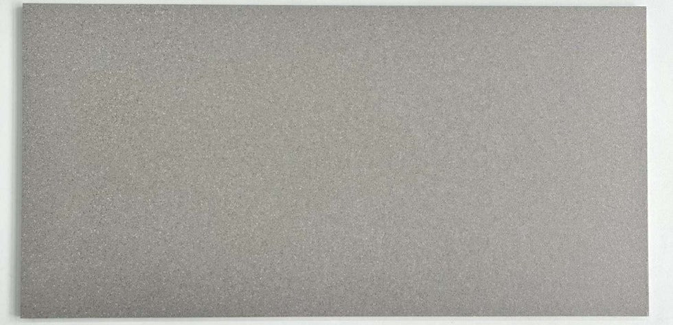 T39305