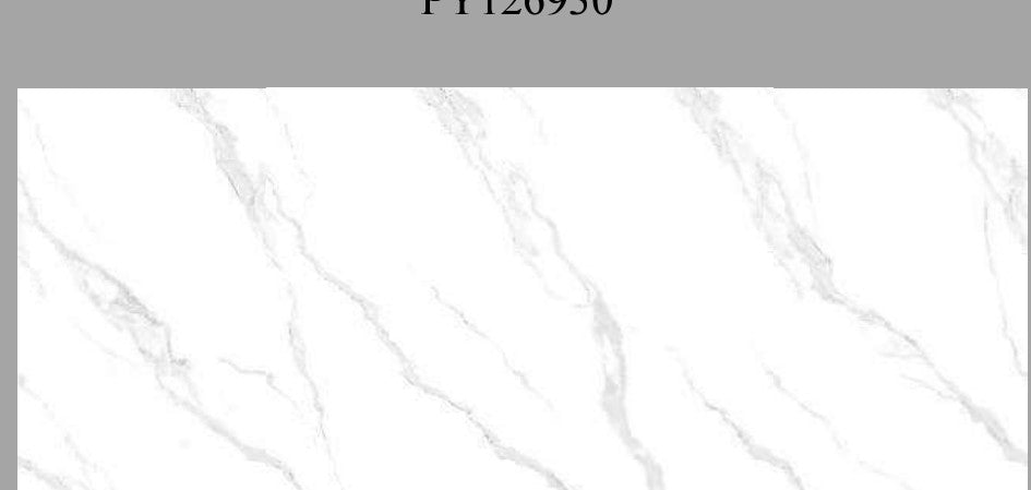 TC12658_preview