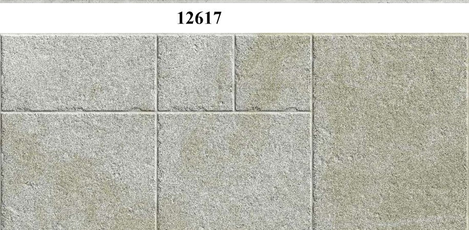 YG12619_01