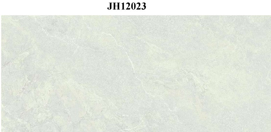 ZH12005P_preview