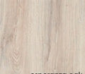esperanza-oak_thumbnail