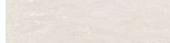 panwht61n